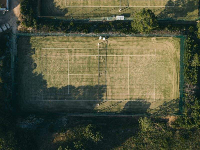 Lynmirdromdixgrel 8